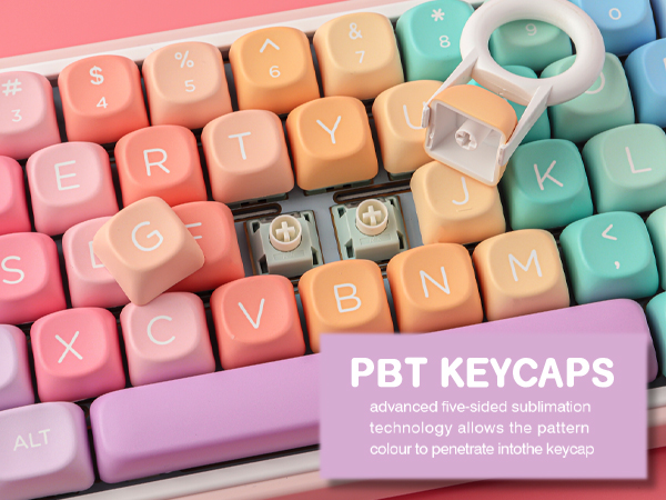 PBT moa Keycaps Set