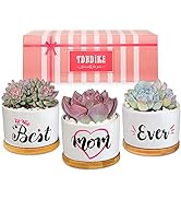 TDHDIKE Mom Birthday Gifts Best Mom Ever Gifts for Mothers Day, Birthday, Christmas. Unique Succu...