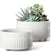 LE TAUCI Succulent Pots, 6.5+8 Inch Ceramic Indoor Plant Pot with Drainage Hole, Modern Round Dec...