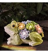 pearlstar Garden Statues Frog Figurine - Solar Powered Resin Animal Sculpture, Waterptoof Lights ...