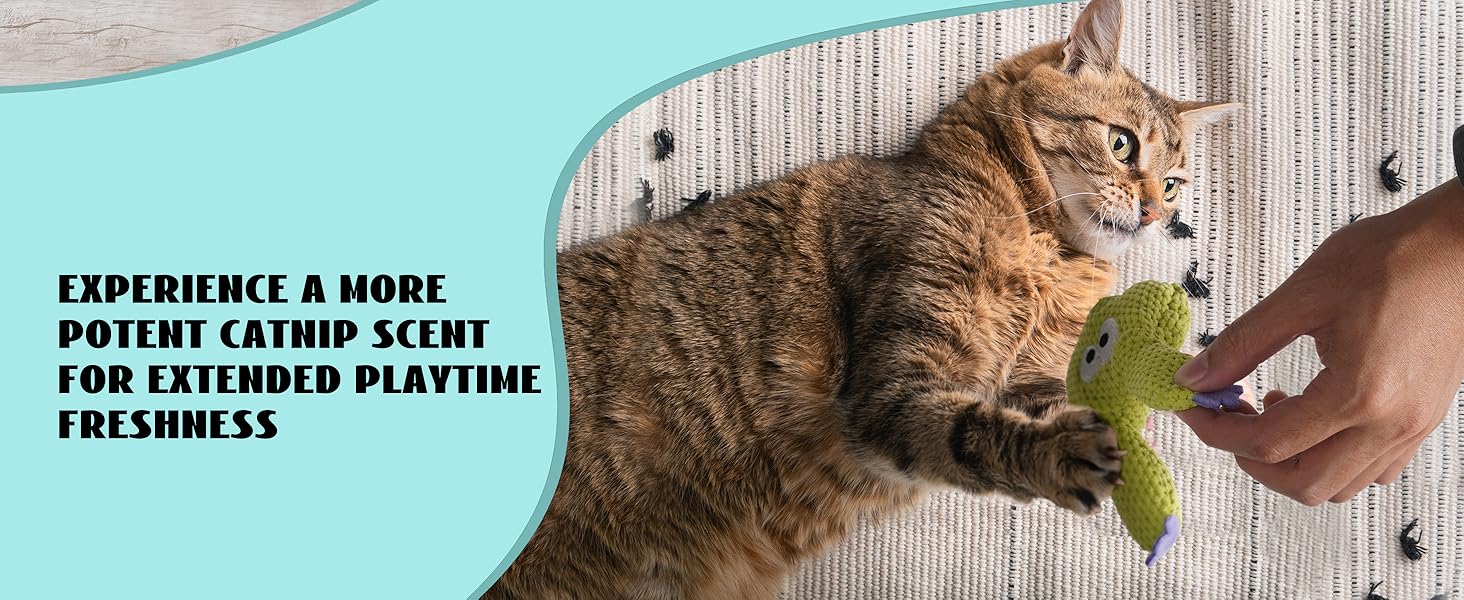 cat toys for indoor cats cat toy catnip cat toys interactive cat nip kitten toys cat nip for cats