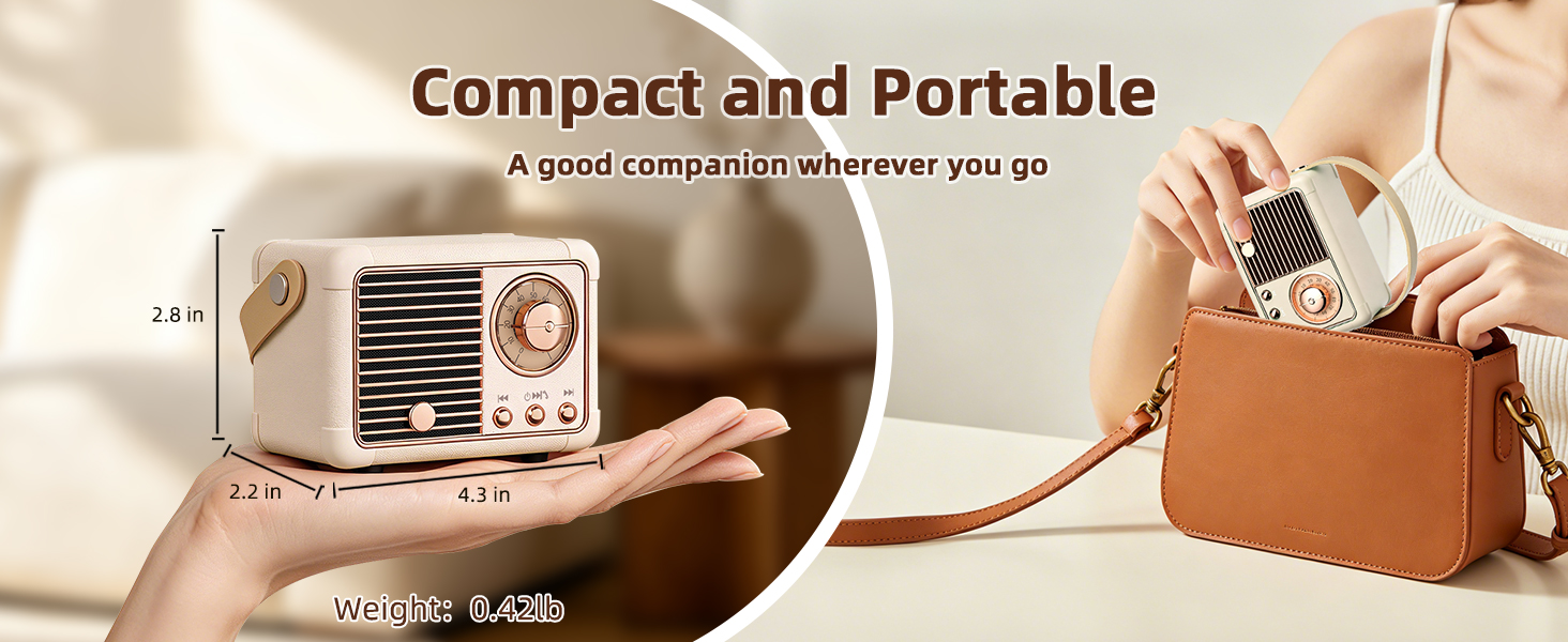 portable speaker