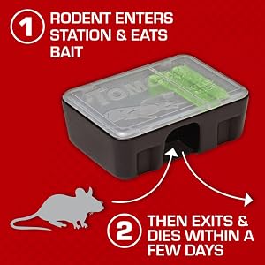 How Tomcat Bait Stations Work