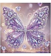 DIADAY 5D Diamond Painting Kits for Adults Butterfly, DIY Purple Butterfly Crystal Special Shape ...