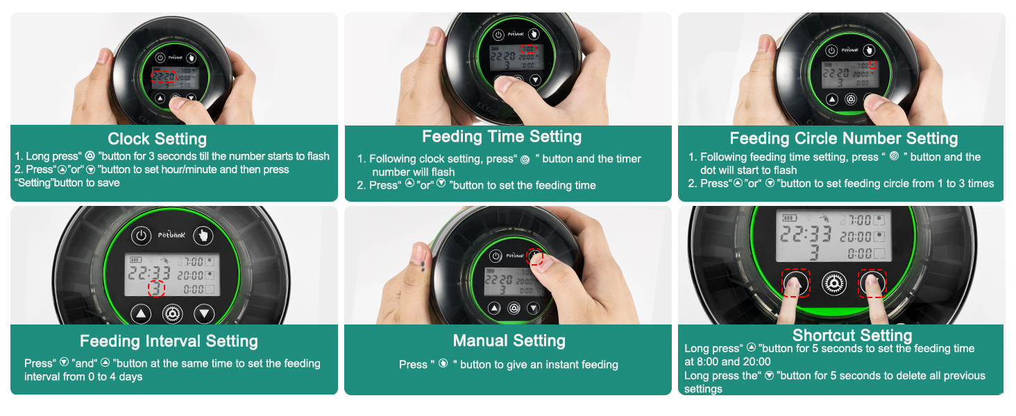 automatic dog feeder with timer