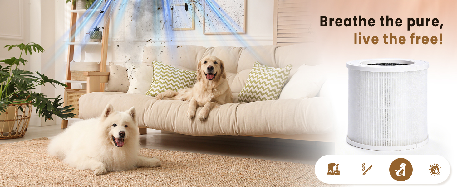 vendfo air purifier