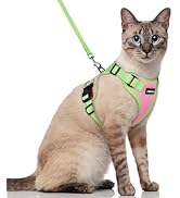 rabbitgoo Cat Harness and Leash Set, Escape Proof Soft Adjustable Vest Harnesses for Outdoor Walk...