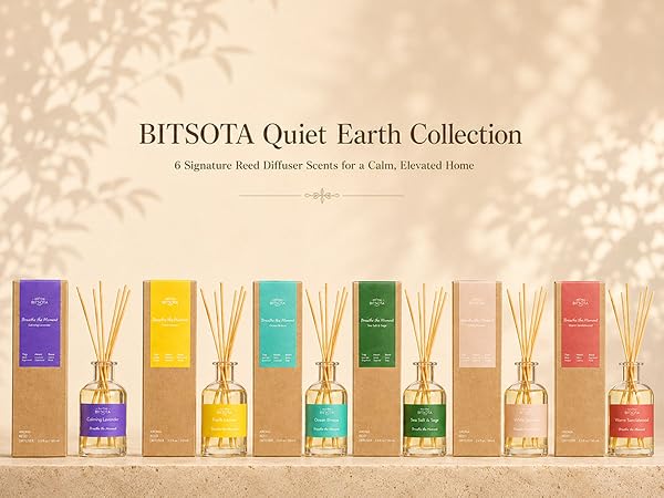reed diffuser for home