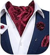 DiBanGu 4 PCS Ascot Ties for Men,Jacquard Cravat Ascot Tie Pocket Square Cufflinks with Floral La...