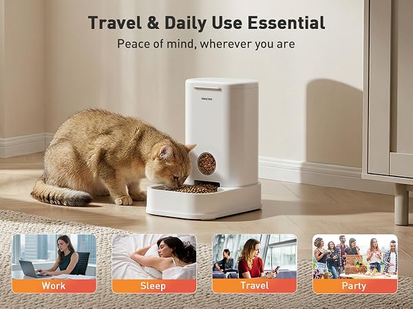 dog feeder