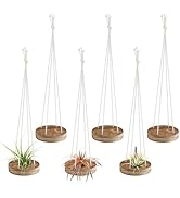 6 Pcs Hanging Wooden Air Plant Holder - 3" Round Airplants Live Hanger with Ropes, Rustic Tilland...
