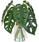 Muhanjia Artificial Flowers Turtle-Back, Alocasia Leaf, in Glass Vase with Faux Water,7Pcs Artifi...
