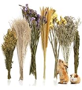 Sukh 47Pcs Natural Hamster Herb Bedding - Safe Cage Accessories & Hideout Enclosure and Habitat D...
