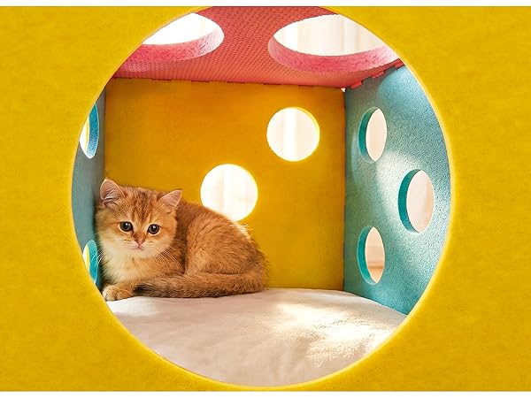 dog beds for small dogs