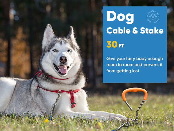 dog tie out cable stake