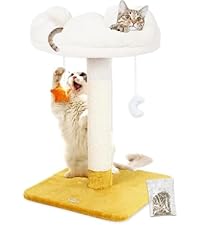 https://m.media-amazon.com/images/S/aplus-media-library-service-media/bdf62594-f39f-4d7a-ba60-eda4cf6f5e31.__AC_SR200,225___.jpg