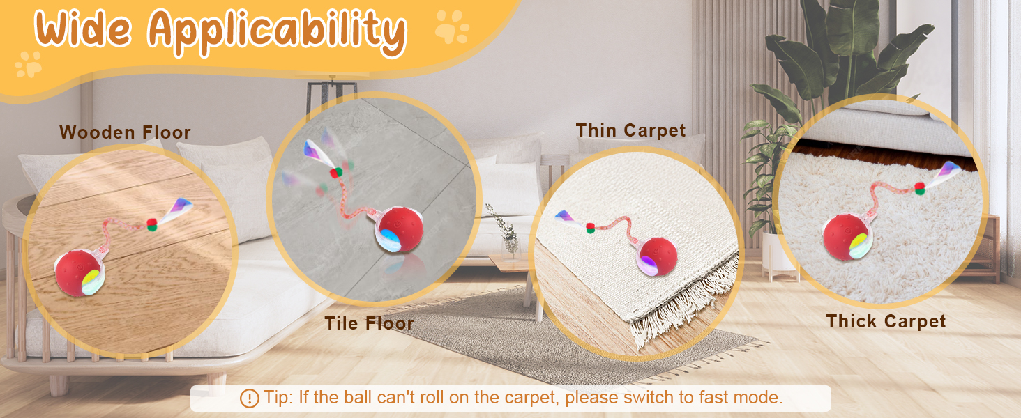 interactive kitten toys