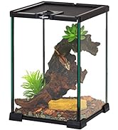 REPTIZOO Mini Reptile Glass Terrarium Tank 8" x 8" x 12" Full View Visually Appealing Top Feeding...