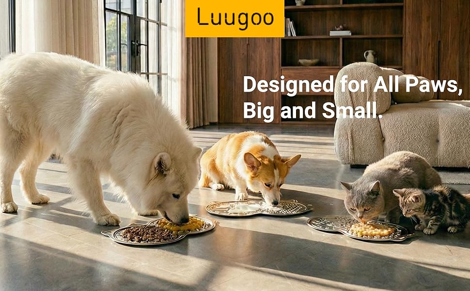 Designed for All Paws