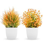 Der Rose 2 Pack Fake Plants Orange Mini Plants for Fall Home Decor | Fall foliage style plants, d...