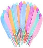 FeelfunFeather 120pcs Macaron Goose Cochettes Feather 4-6 inch 10-15cm Bulk Natural for Wedding P...