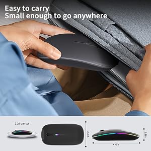 portable mouse