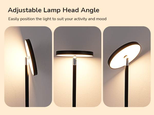 Adjustable Lamp Head Angle