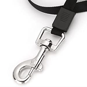 Leash for Cats