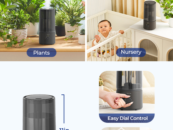 Humidifier