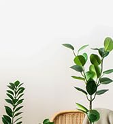 faux fern