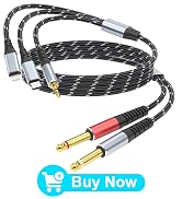 Audio cable with braided black and silver design. Features gold-plated connectors and a Y-split design for dual output. Red accents on connectors.