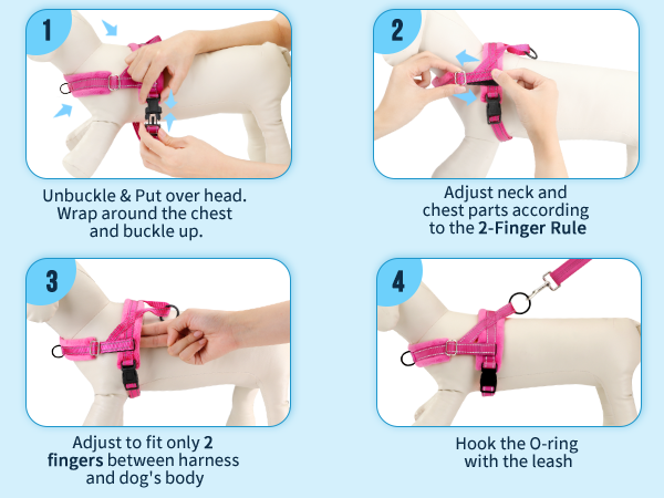 small dog harness leash set for small dogs