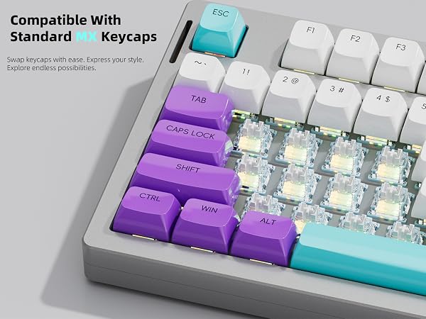 Linear Silent Keyboard Switch