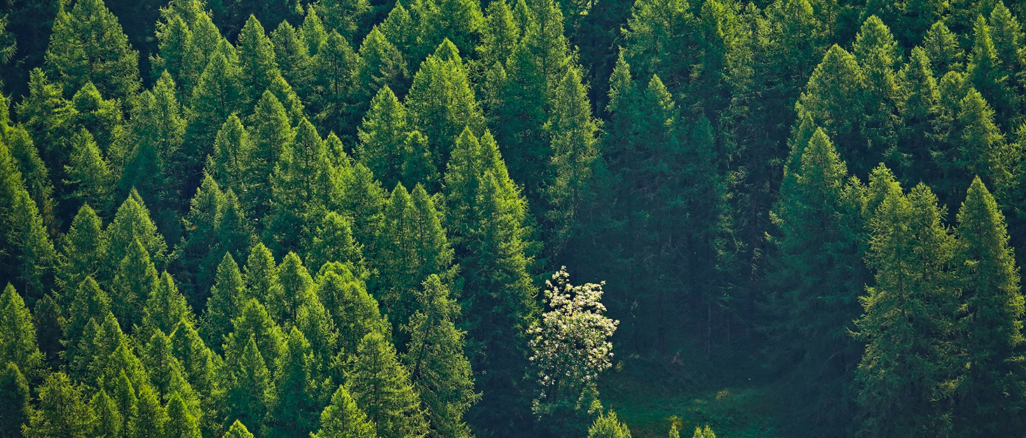 comtar Air Ionizers for Home