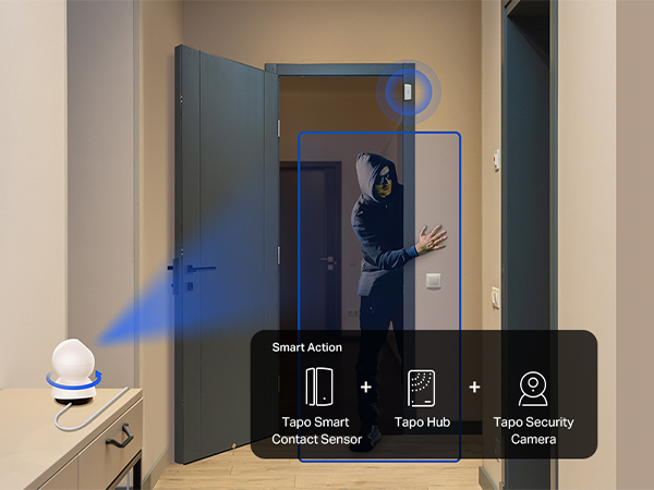 Integrated Security