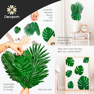 palm leaf