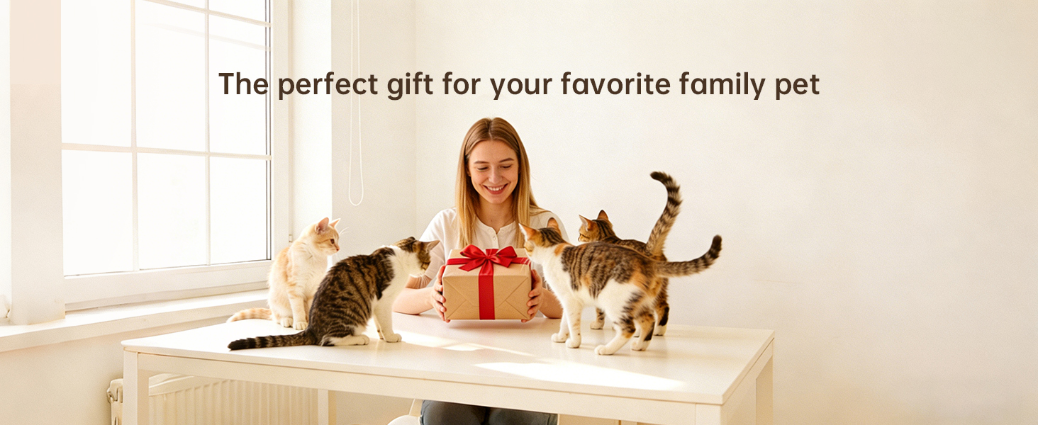pet cat supplies automatic feeder automatic pet feeder automatic feeder cat dry food