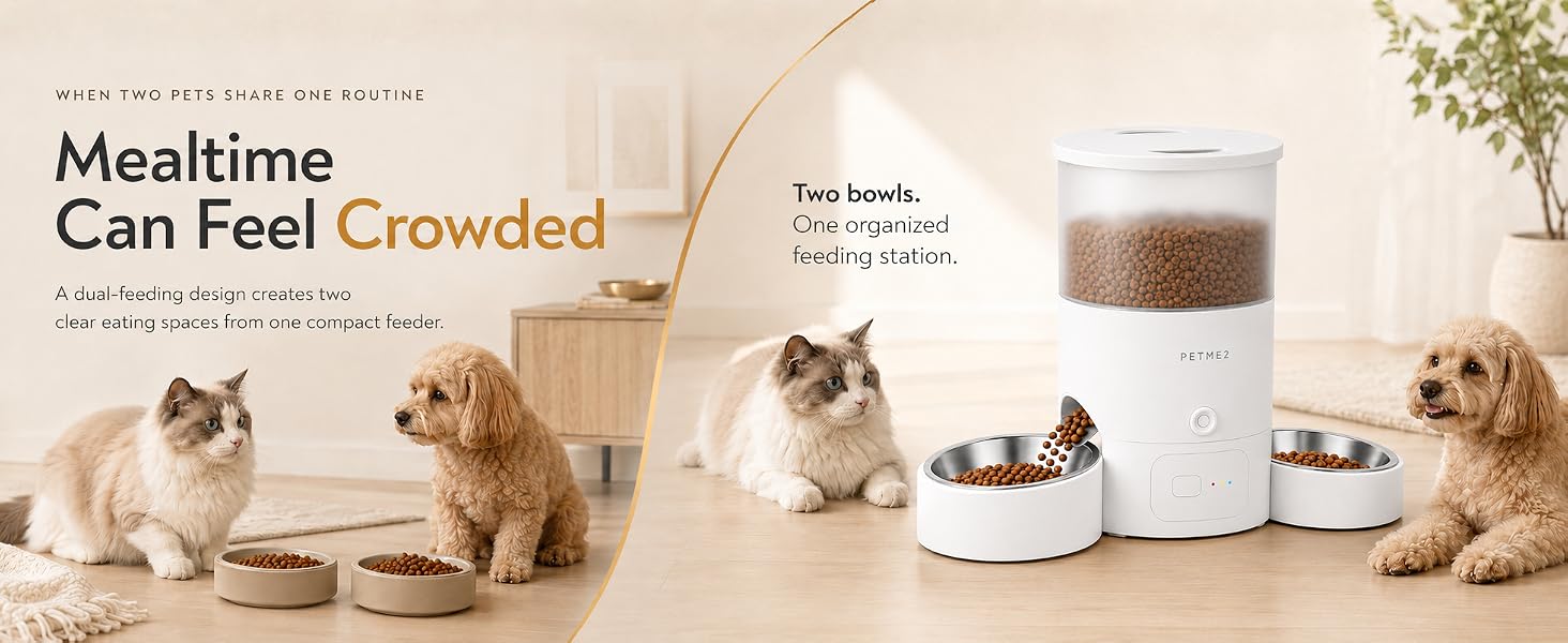 Automatic Cat Feeder