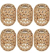 LUCORUSC 6 Pack Rattan Lamp Shades Boho Hanging Light Lamp Shades, Woven LampShades for Floor Lam...