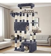 Gitelsnour Maine Coon Cat Tree, Heavy Duty Cat Tree for Indoor Cats Large Adult, Cat Tower for La...
