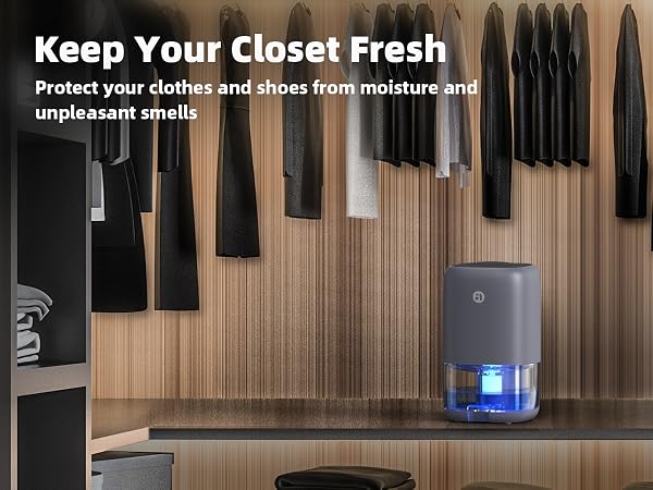 Small Dehumidifier