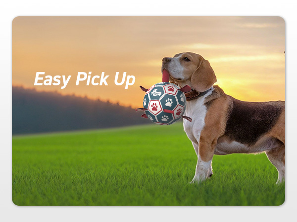 dog balls with tabs