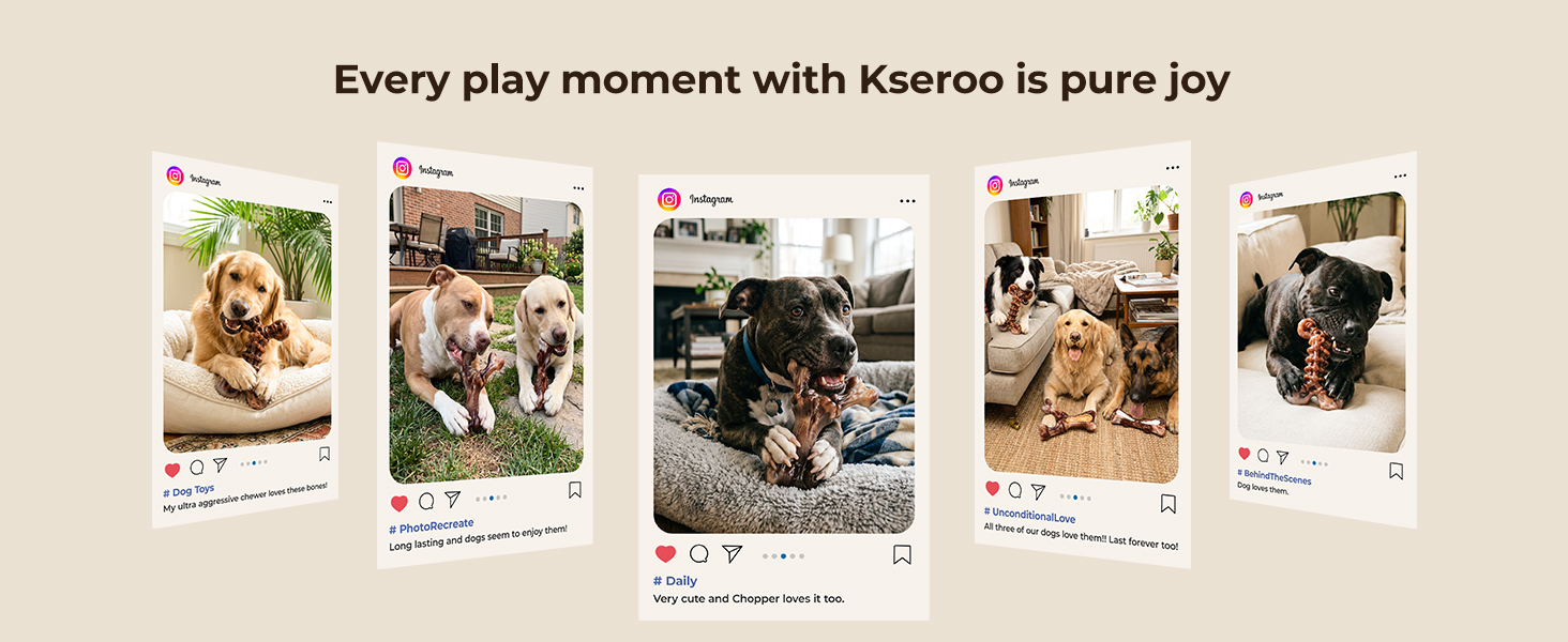 Every play moment with Kseroo is pure joy