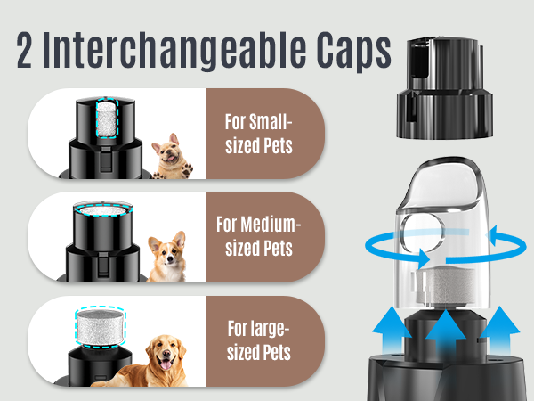 2 Cups Fit All Dogs