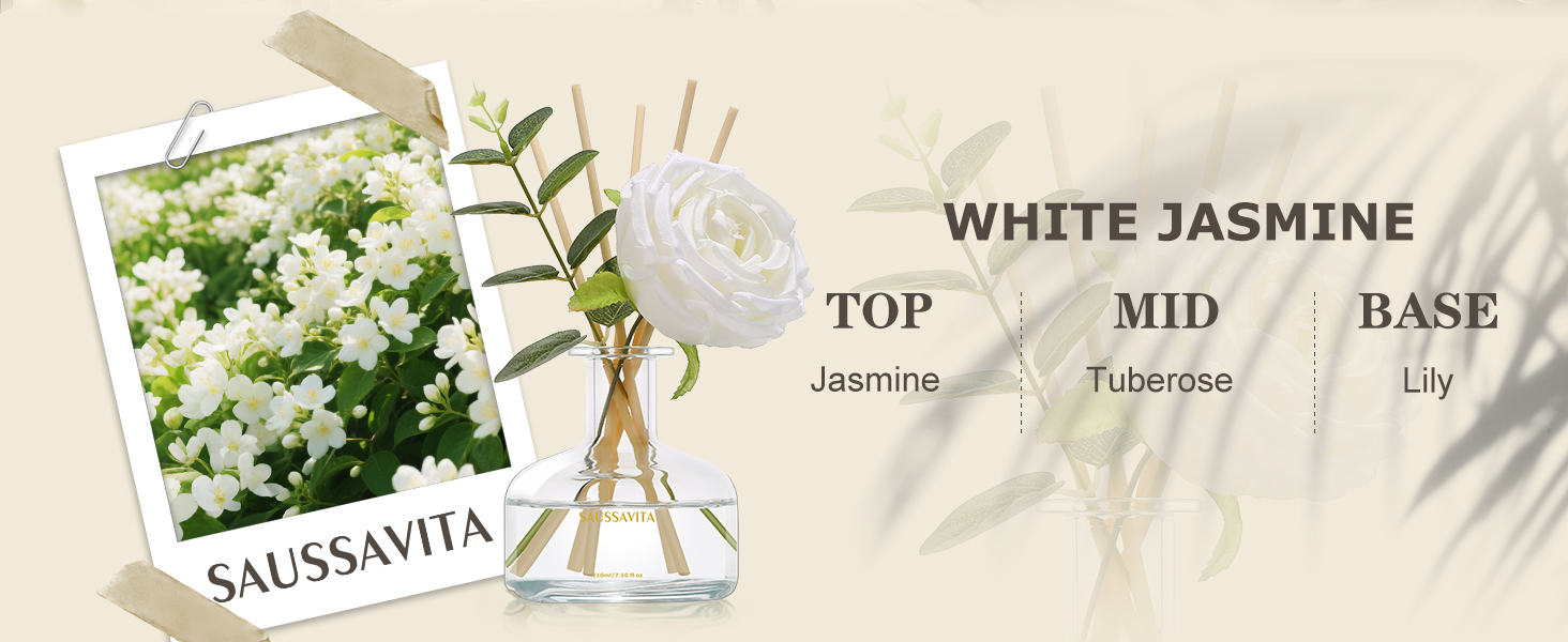 Reed Diffusers Set