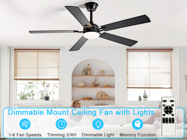 Black ceiling fan with light
