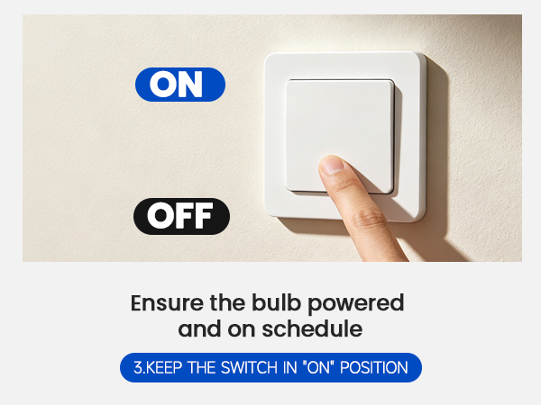 timer bulbs