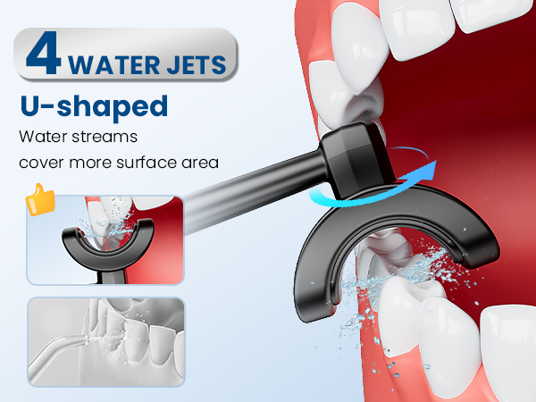 water flosser 4 water jets