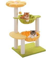 https://m.media-amazon.com/images/I/41FCwIhOZvL.__AC_SR200,225___.jpg