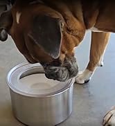 slobber stopper dog water bowl